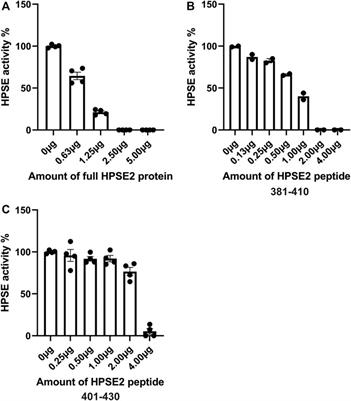 Heparanase-2 protein and peptides have a protective effect on experimental glomerulonephritis and diabetic nephropathy